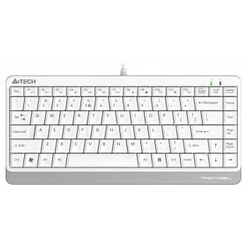 Клавиатура A4Tech Fstyler FKS11 белый/серый USB